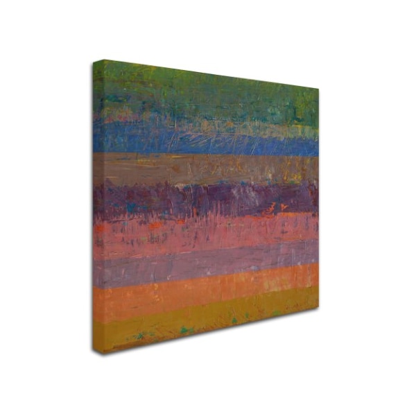 Michelle Calkins 'Pink Line' Canvas Art,24x24